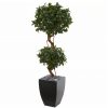 yapay ficus ağacı