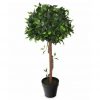 yapay ficus ağacı