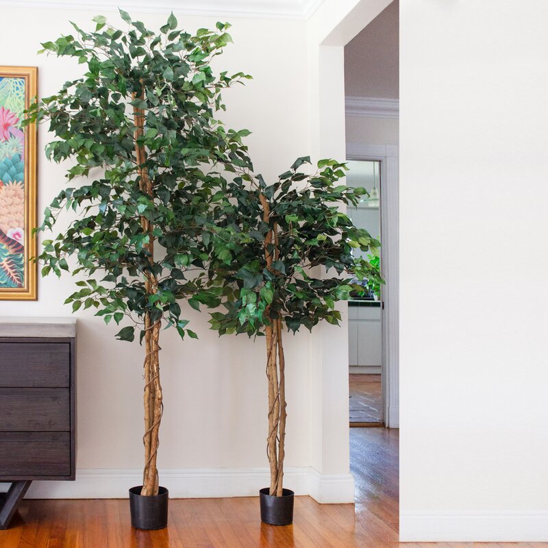 Yapay Ağaç - Yapay Ficus Ağacı Yapay Ağaç