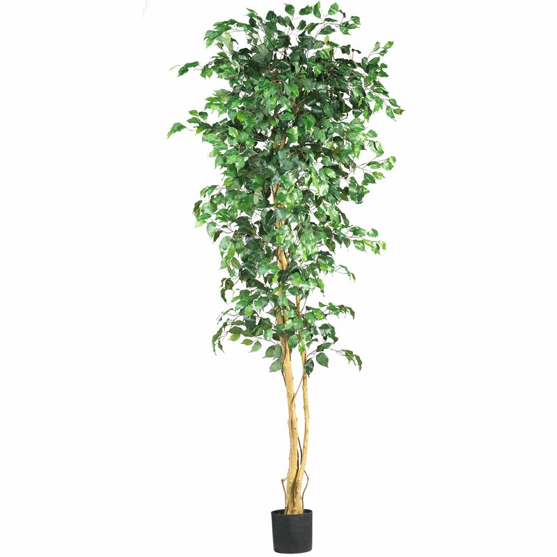 yapay agac ficus 210cm Yapay Ağaç - Yapay Ficus Ağacı