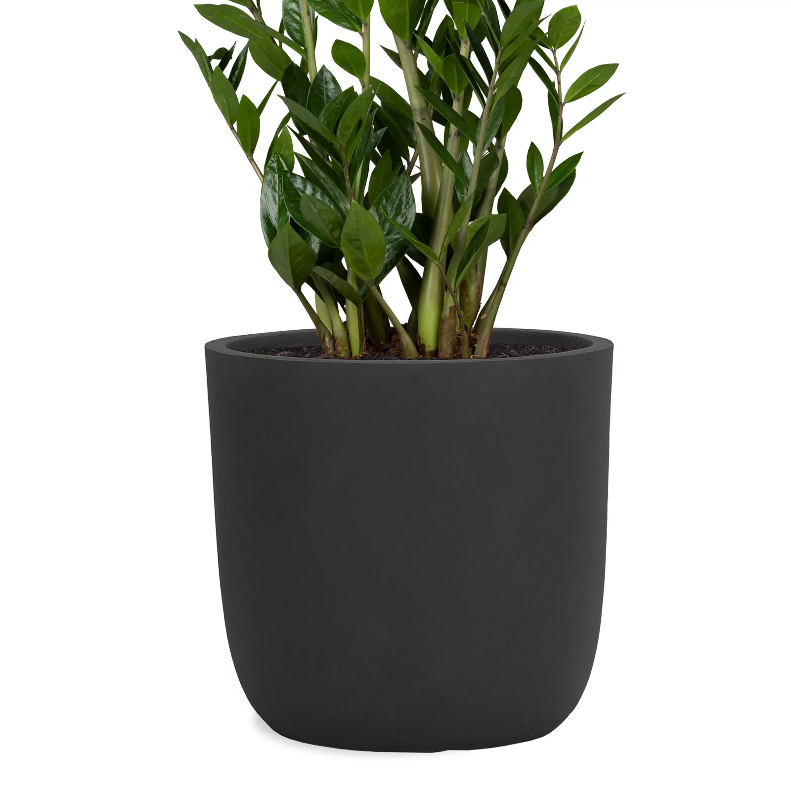 ANNAPARK-cup-anthrazit-51cm-x-49cm~2