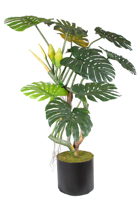 Real Touch Split Philo 250cm A4469