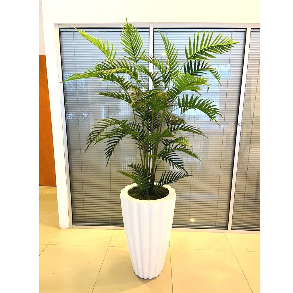 areca-palmiye-180cm-2