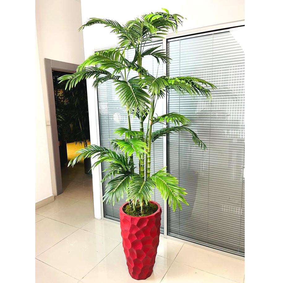 areca-palmiye-200cm