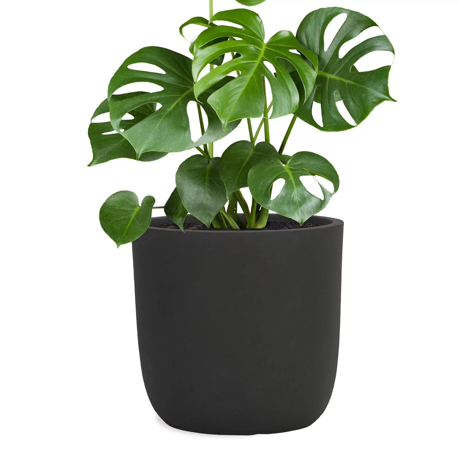 fiber-saksi-cup-anthrazit-42cm-x-41cm~2