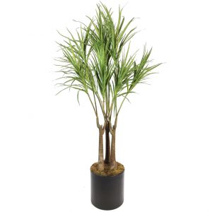yapay ağaç dracena