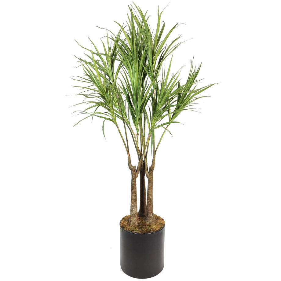 yapay ağaç dracena yapay ağaç dracena