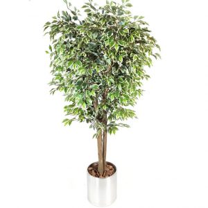 yapay ağaç ficus