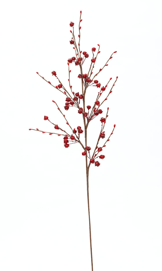 DP-X4079H SPRAY RED-1