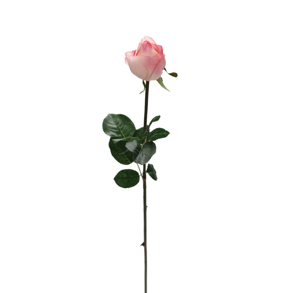 GVC-701 Pembe3